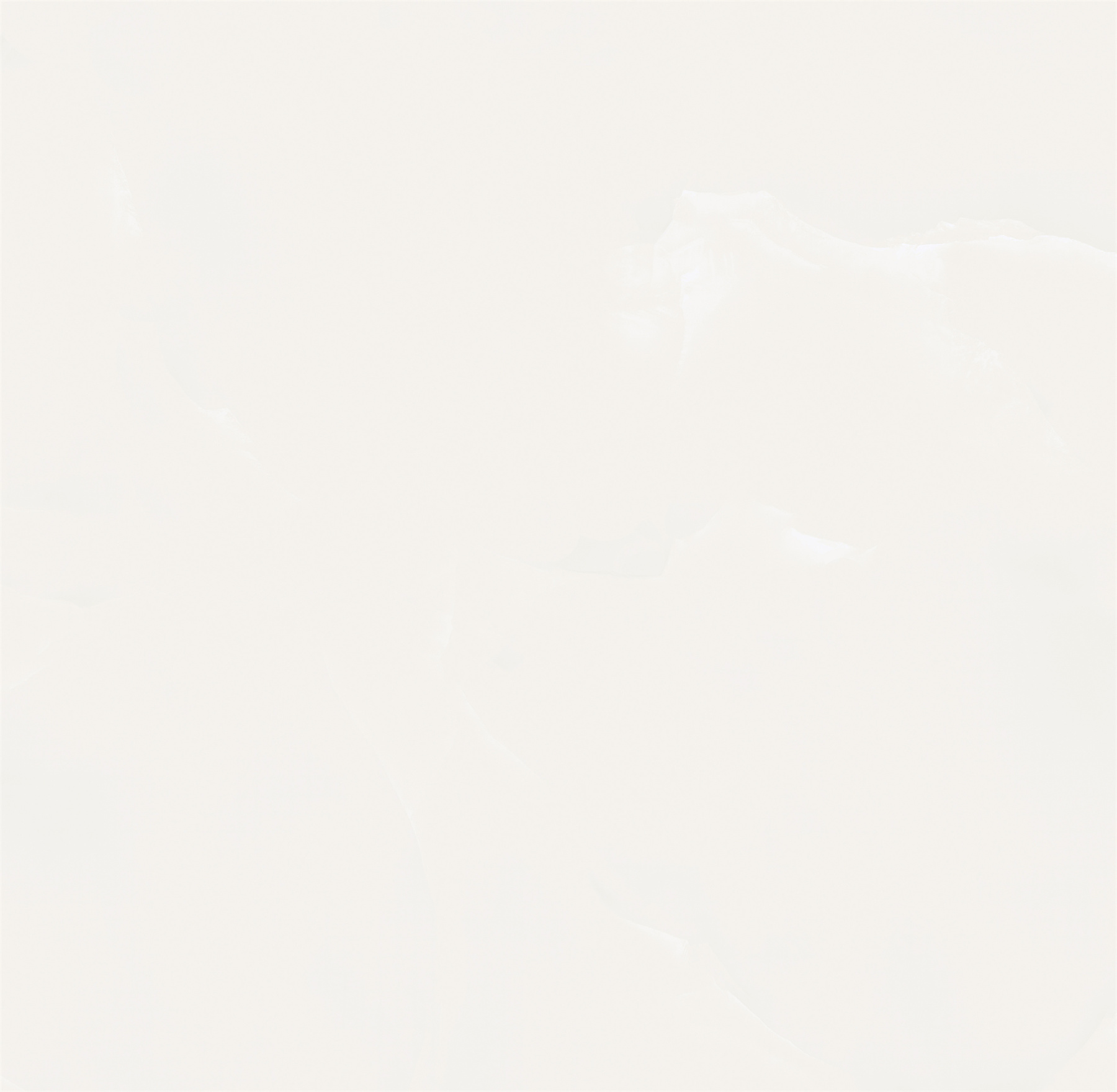 88081